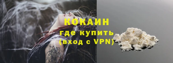 сатива Аркадак