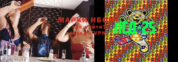 сатива Аркадак