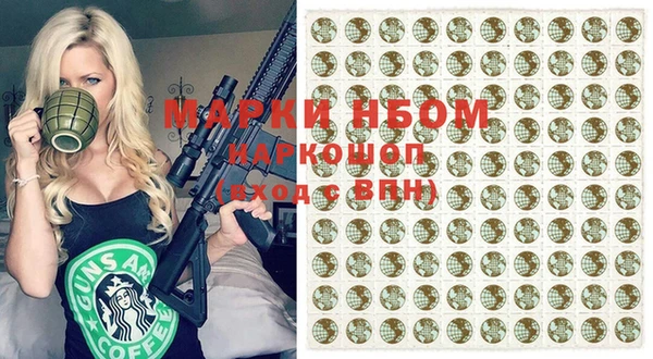 сатива Аркадак