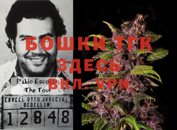 сатива Аркадак