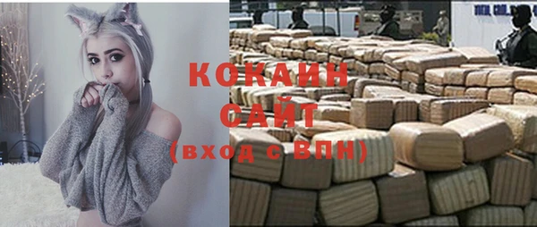 сатива Аркадак