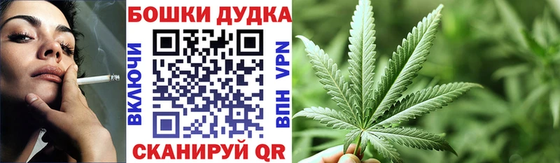 Каннабис планчик  как найти наркотики  Тавда 